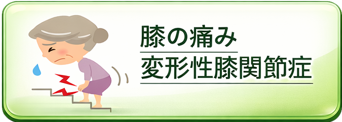 膝の痛み・変形性膝関節症